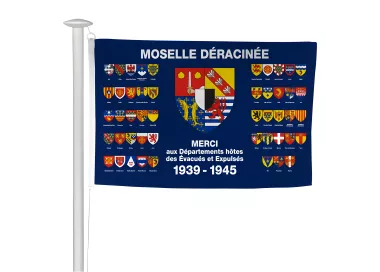 Pavillon Moselle déracinée en maille polyester