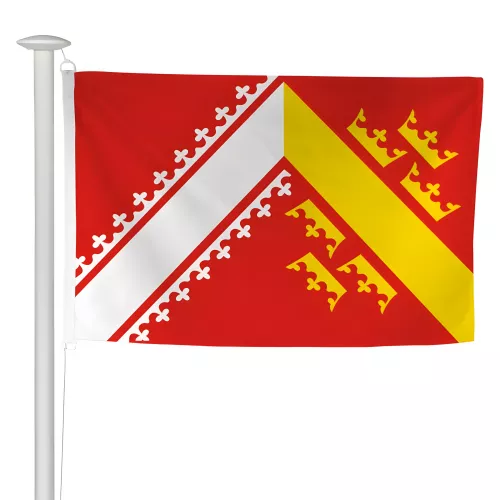 Pavillon province Alsace pour mât extérieur