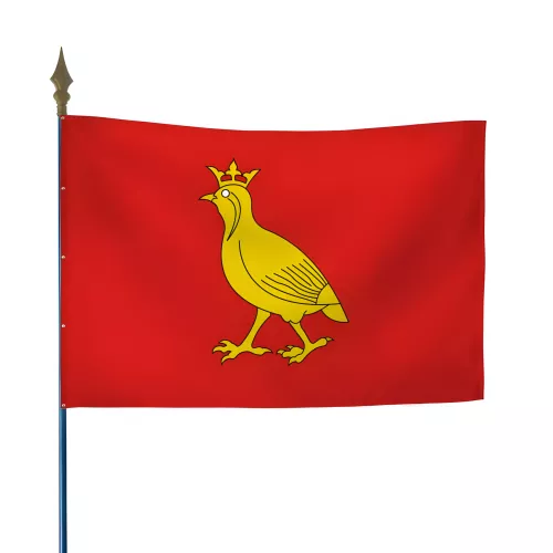 Drapeau province Aunis en maille polyester 115 g/m²
