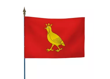 Drapeau province Aunis en maille polyester 115 g/m²