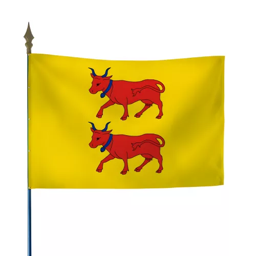 Drapeau province Béarn en maille polyester