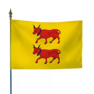 Drapeau province Béarn en maille polyester