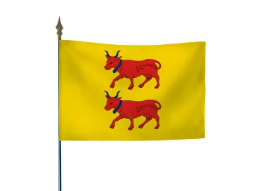Drapeau province Béarn en maille polyester