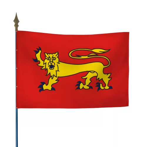 Drapeau Province Guyenne en maille polyester
