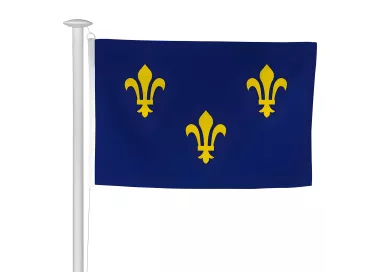 Pavillon province Île-de-France en maille polyester