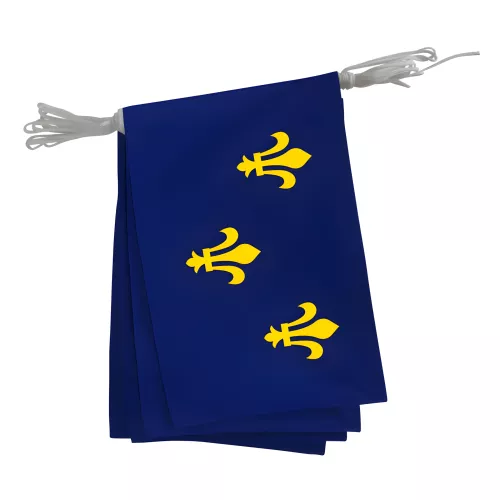 Guirlande pavoisement province Île-de-France polyester 20x30 cm