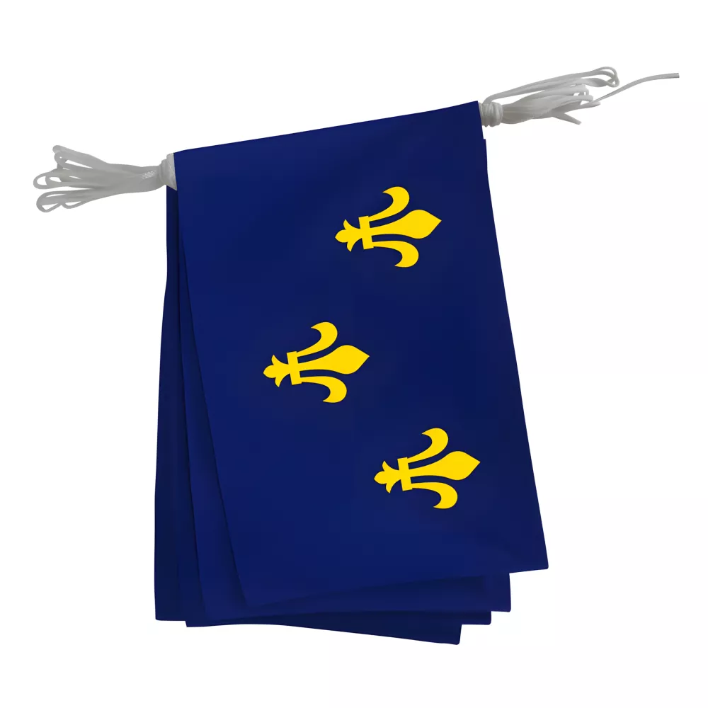 Guirlande pavoisement province Île-de-France polyester 20x30 cm Guirlande pavoisement province Île-de-France polyester 20x30 cm
