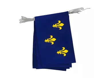 Guirlande pavoisement province Île-de-France polyester 20x30 cm