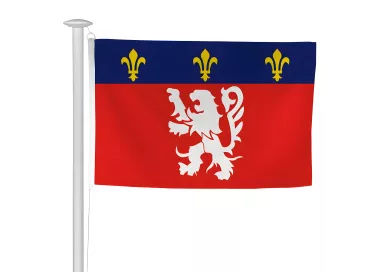 Pavillon province Lyonnais en maille polyester 115 g/m²