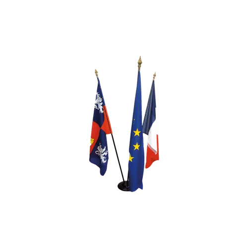 Drapeau d'accueil France 100 x 150 cm avec hampe