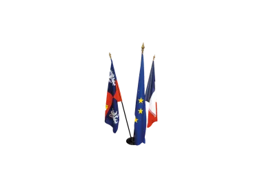 Drapeau d'accueil France 100 x 150 cm avec hampe
