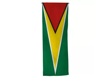 Oriflamme du Guyana en maille polyester avec traverse