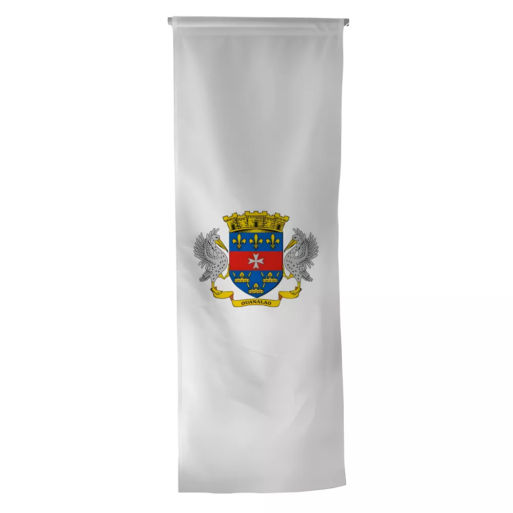 Oriflamme armoiries Saint-Barthélemy en maille polyester Oriflamme armoiries Saint-Barthélemy en maille polyester