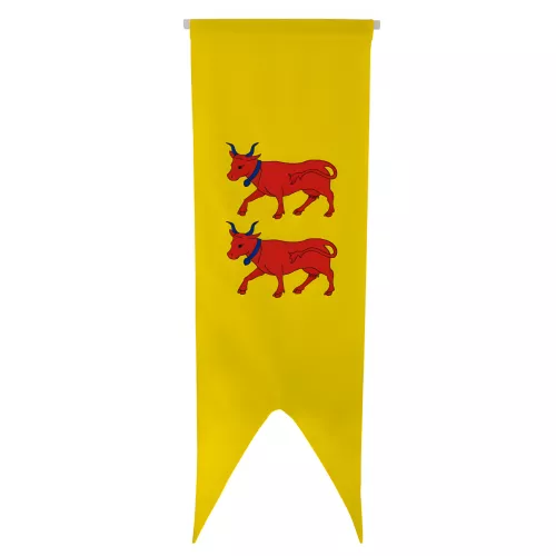Oriflamme province Béarn en maille polyester