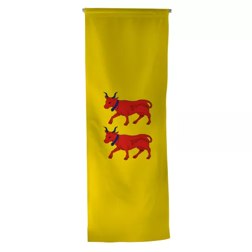 Oriflamme province Béarn en maille polyester