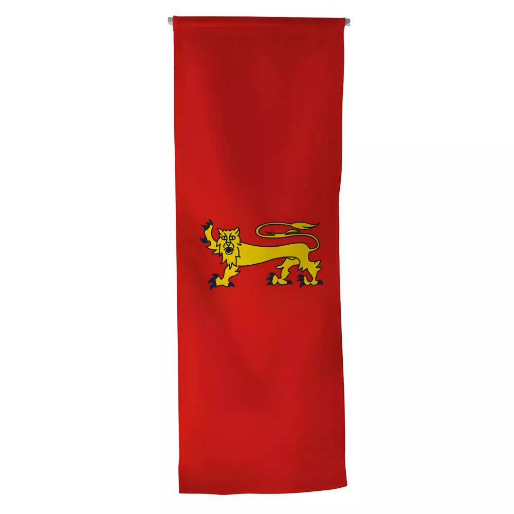 Oriflamme province Guyenne en maille polyester 115 g/m² Oriflamme province Guyenne en maille polyester 115 g/m²