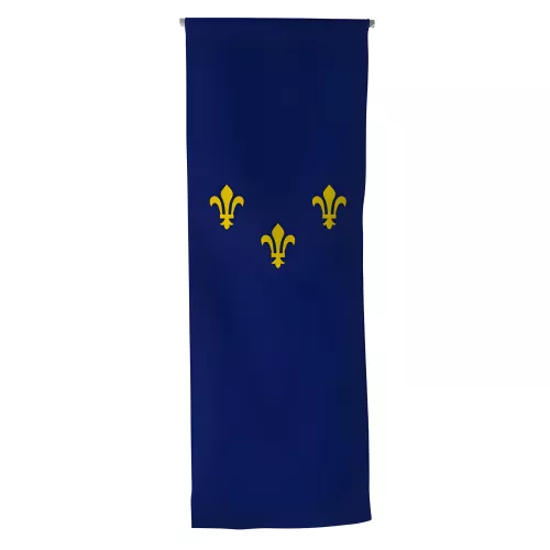 Oriflamme verticale province Île-de-France en maille polyester