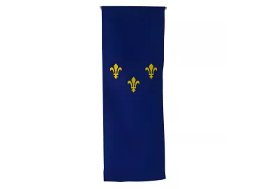 Oriflamme verticale province Île-de-France en maille polyester