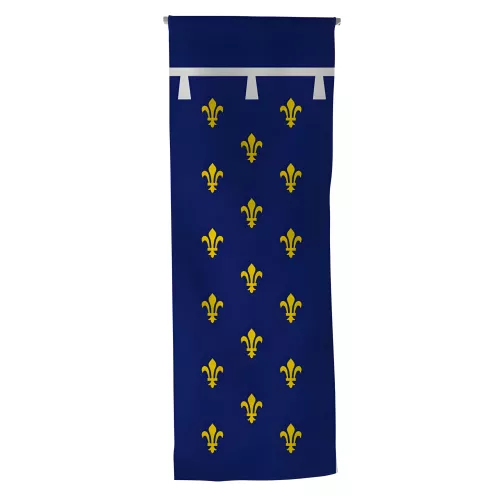 Oriflamme province Orléanais en maille polyester 115 g/m²