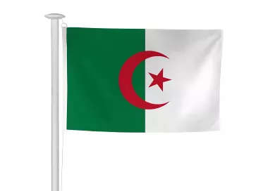 Pavillon Algérie pour mât de pavoisement