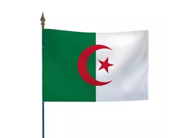 Drapeau Algérie en maille polyester avec hampe