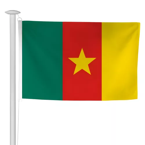 Pavillon Cameroun pour mât de pavoisement