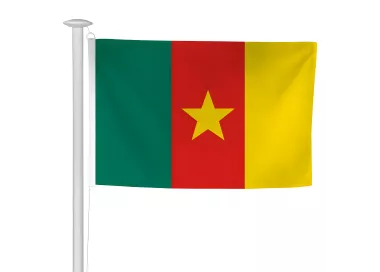 Pavillon Cameroun pour mât de pavoisement