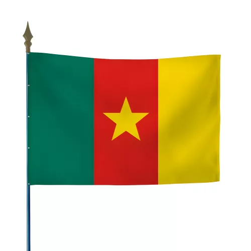 Drapeau Cameroun sur hampe en maille polyester