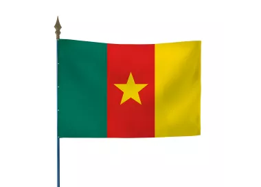 Drapeau Cameroun sur hampe en maille polyester