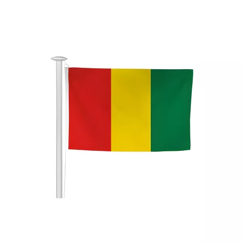 Pavillon Guinée en maille polyester standard