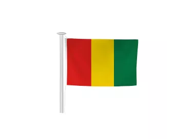 Pavillon Guinée en maille polyester standard