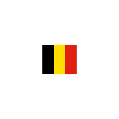 Drapeau Belgique à agiter 14 x 21 cm avec tige bois