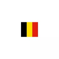 Drapeau Belgique à agiter 14 x 21 cm avec tige bois