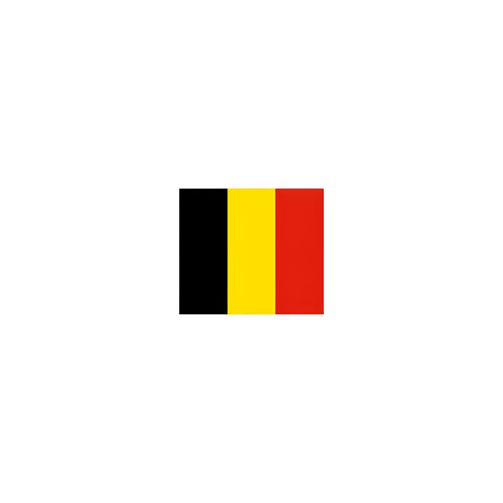 Drapeau Belgique à agiter 14 x 21 cm avec tige bois Drapeau Belgique à agiter 14 x 21 cm avec tige bois