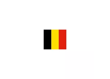 Drapeau Belgique à agiter 14 x 21 cm avec tige bois