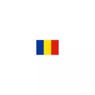 Drapeau Roumanie 14 x 21 cm à agiter sur tige bois