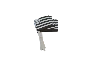 Drapeau Bretagne 14 x 21 cm à agiter sur tige bois