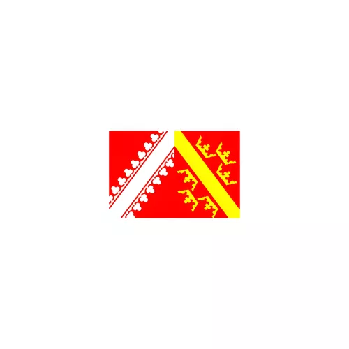 Drapeau Alsace 14 x 21 cm à agiter avec tige