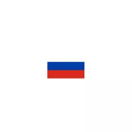 Drapeau Russie à agiter 14 x 21 cm sur tige