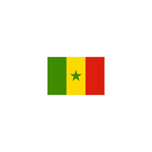 Drapeau Sénégal à agiter 14 x 21 cm en papier