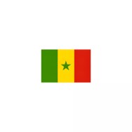 Drapeau Sénégal à agiter 14 x 21 cm en papier