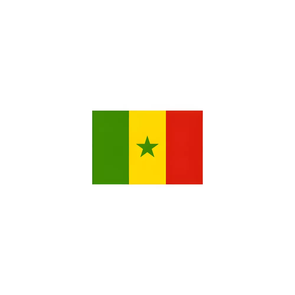 Drapeau Sénégal à agiter 14 x 21 cm en papier Drapeau Sénégal à agiter 14 x 21 cm en papier