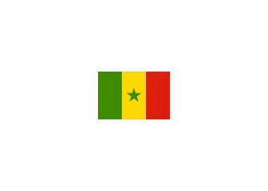 Drapeau Sénégal à agiter 14 x 21 cm en papier