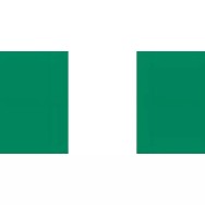 Drapeau Nigéria à agiter 14 x 21 cm sur tige