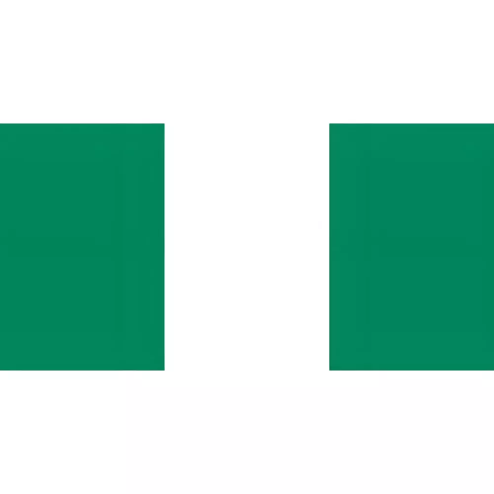 Drapeau Nigéria à agiter 14 x 21 cm sur tige