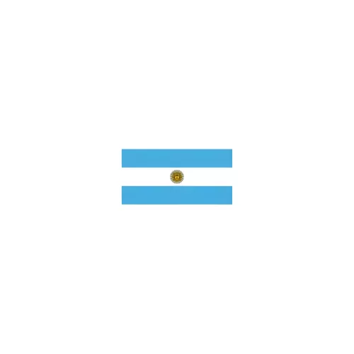 Drapeau Argentine 14 x 21 cm à agiter sur tige