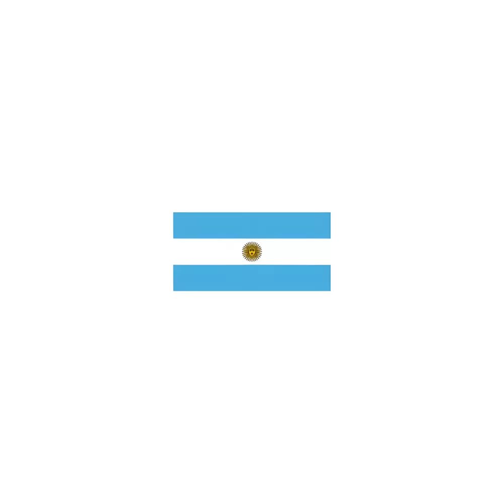 Drapeau Argentine 14 x 21 cm à agiter sur tige Drapeau Argentine 14 x 21 cm à agiter sur tige