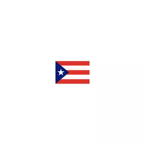 Drapeau Porto Rico à agiter 14 x 21 cm