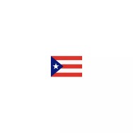 Drapeau Porto Rico à agiter 14 x 21 cm