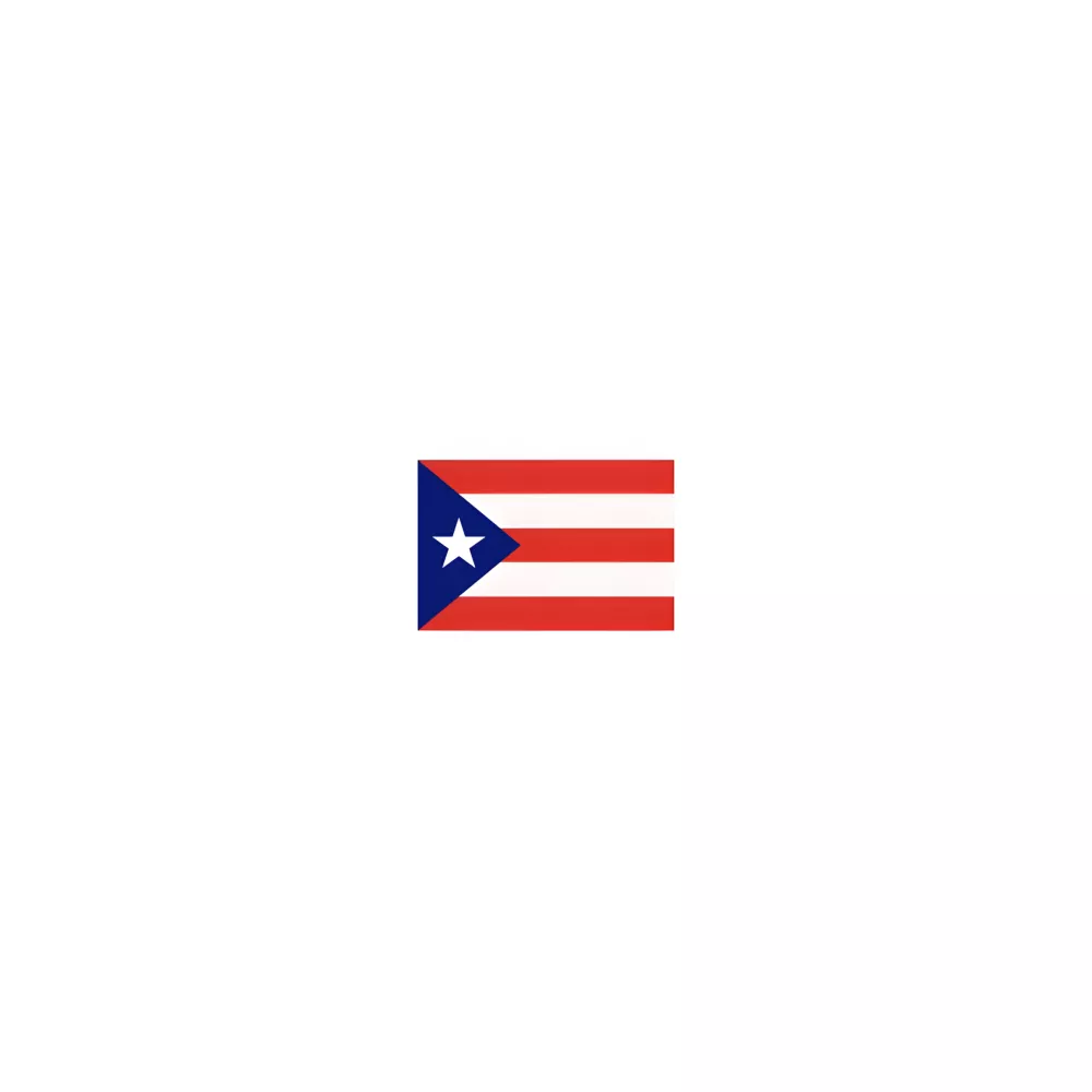 Drapeau Porto Rico à agiter 14 x 21 cm Drapeau Porto Rico à agiter 14 x 21 cm